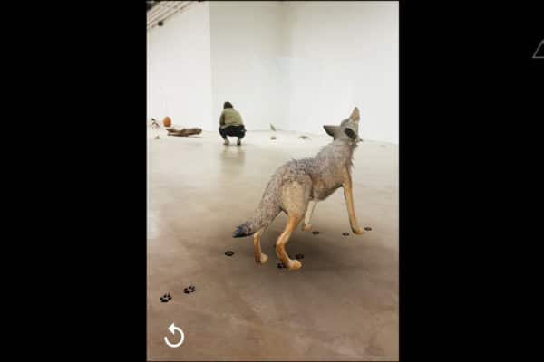 An augmented reality coyote guiding visitors through an art exhibit